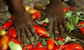 Intervento al Convegno sull’immigrazione