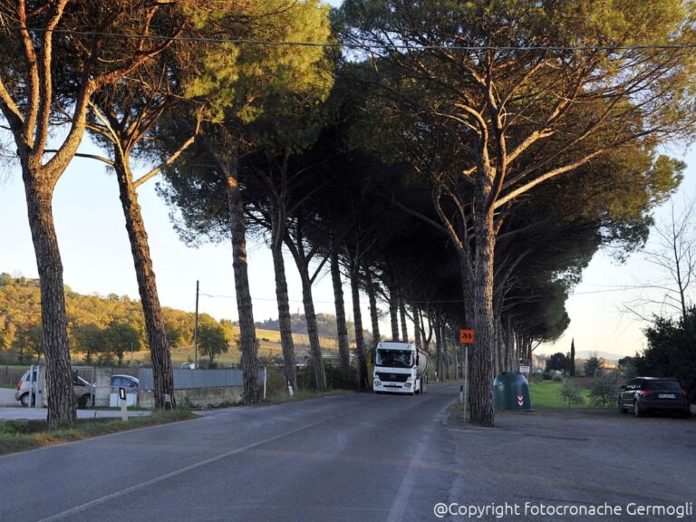 Scopri di più sull'articolo Nuova 429: consiglio comunale aperto di 14 Comuni con il Presidente Chiti