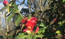 #cooperativedicomunità Questa mattina ho visitato la…