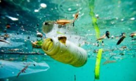 Dalla Toscana all’Europa. Il nostro impegno con Arcipelago…