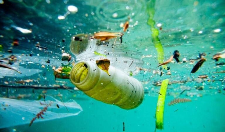 Scopri di più sull'articolo Dalla Toscana all’Europa. Il nostro impegno con Arcipelago…