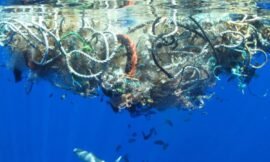 Missione compiuta, per un mare più pulito e che sia più…