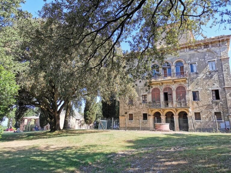 Scopri di più sull'articolo È tutto pronto a Suvignano (o quasi 😊). Mancate solo voi!…