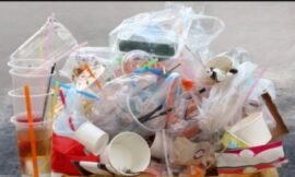 Stop alla plastica mono uso sulle spiagge toscane!! E’…